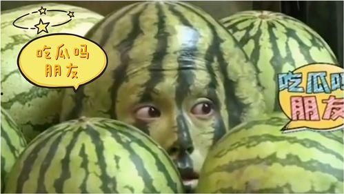 娱乐吃瓜地,吃瓜群众背后的故事 第1张 娱乐吃瓜地,吃瓜群众背后的故事 第1张