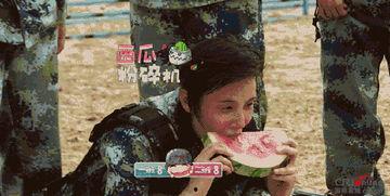 娱乐吃瓜地,吃瓜群众背后的故事 第3张 娱乐吃瓜地,吃瓜群众背后的故事 第3张