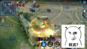 国服木兰爆料视频,新技能、新装备及神秘改动一览 第1张 国服木兰爆料视频,新技能、新装备及神秘改动一览 第1张